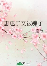 惠惠子又被骗了